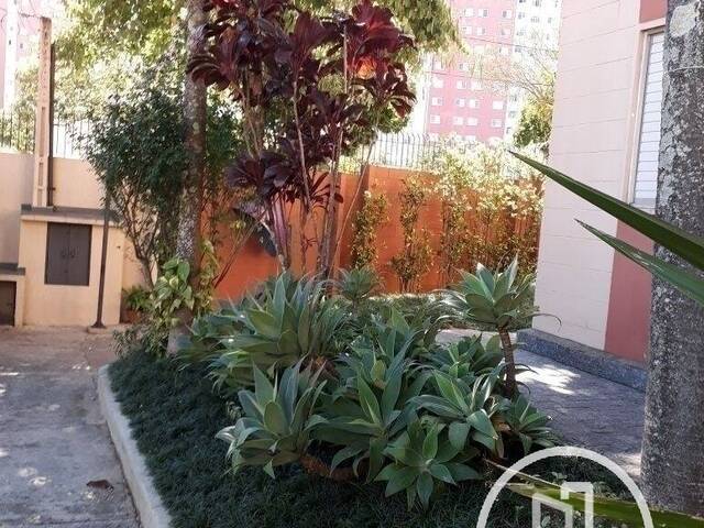 Apartamento para Alugar em São Paulo - 2