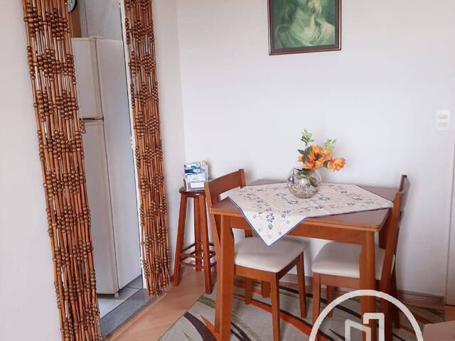Apartamento para Alugar em São Paulo - 4
