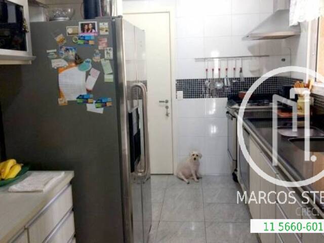 Apartamento para Alugar em São Paulo - 4