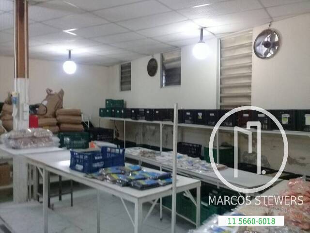 Galpão para Comprar em São Paulo - 4