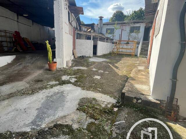 #GJB8ML - Galpão para Comprar em São Paulo - SP - 3
