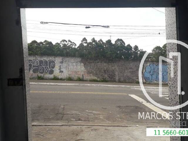 Loja para Alugar em São Paulo - 4