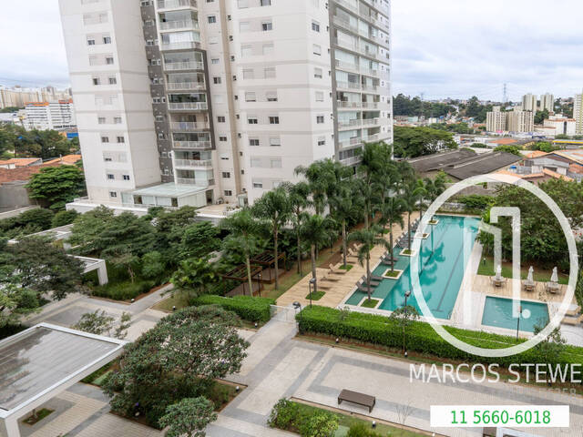 Comprar em Morumbi - São Paulo