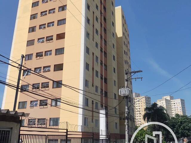 #1F58N9B - Apartamento para Alugar em São Paulo - SP - 1
