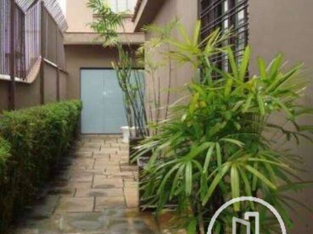 Casa para Alugar em São Paulo - 4