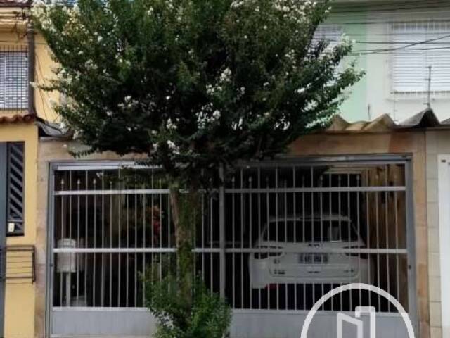 Casa para Alugar em São Paulo - 3