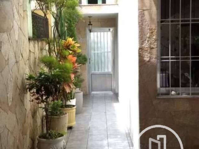 Casa para Alugar em São Paulo - 2