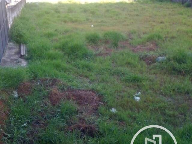 Terreno para Comprar em São Paulo - 4