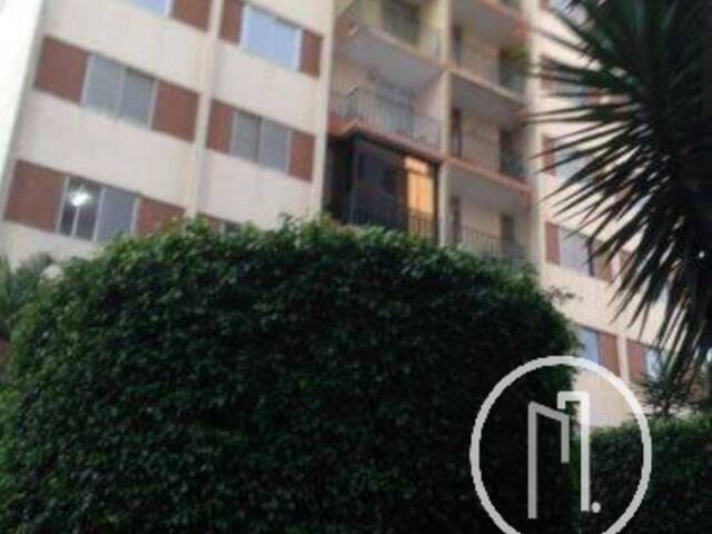 Apartamento para Alugar em São Paulo - 3