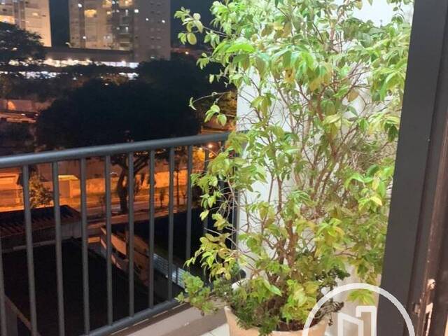 Cobertura para Comprar em São Paulo - 5