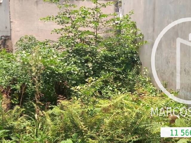 Loja para Alugar em São Paulo - 4
