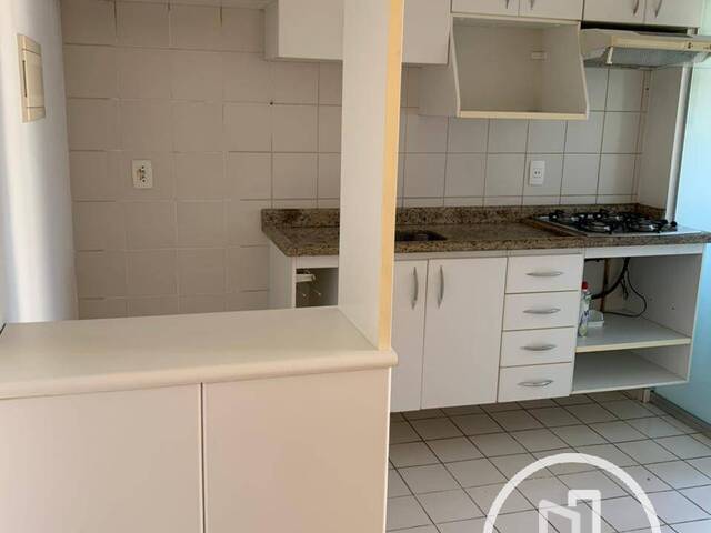 Apartamento para Alugar em São Paulo - 5