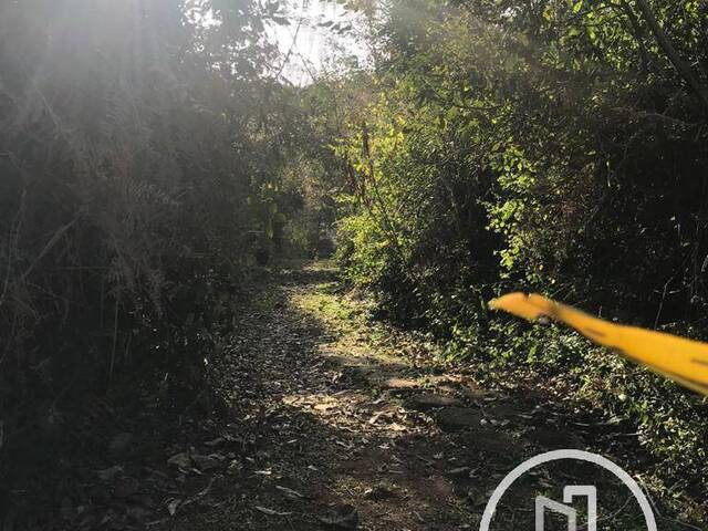 Terreno para Comprar em Embu-Guaçu - 4