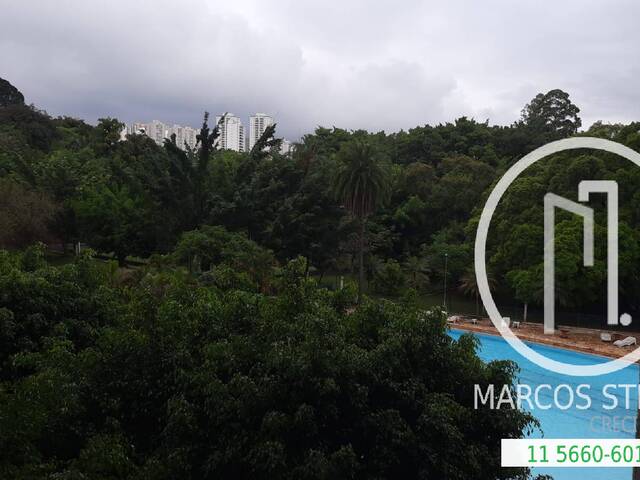 Apartamento para Alugar em São Paulo - 4