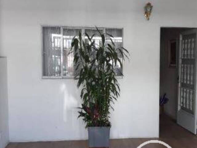 Casa para Comprar em São Paulo - 5