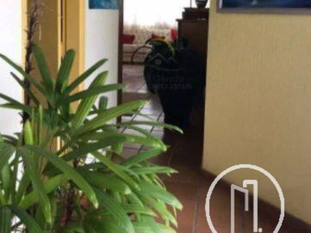 Cobertura para Comprar em Guarujá - 5