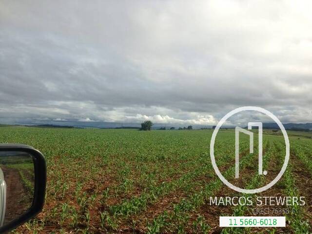 Fazenda para Comprar em Pouso Alegre - 4