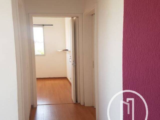 Apartamento para Alugar em São Paulo - 3