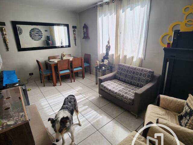 Apartamento para Comprar em São Paulo - 3