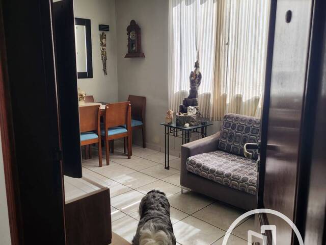 Apartamento para Comprar em São Paulo - 4