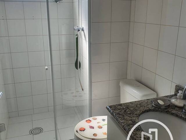 Apartamento para Alugar em São Paulo - 5