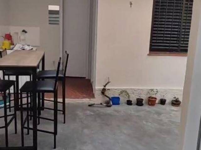 Casa para Alugar em São Paulo - 5