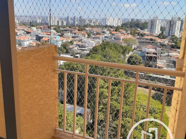 Apartamento para Alugar em São Paulo - 4