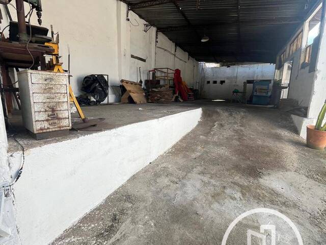 Terreno para Comprar em São Paulo - 4