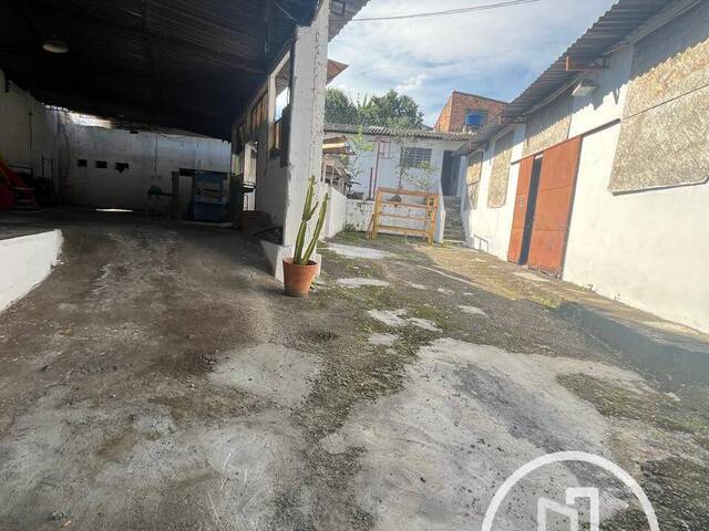 Terreno para Comprar em São Paulo - 5