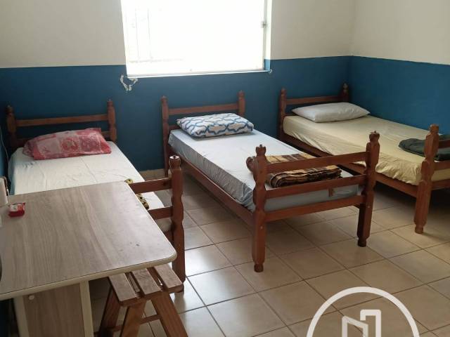 #13SKN9B - Galpão para Alugar em São Paulo - SP - 2