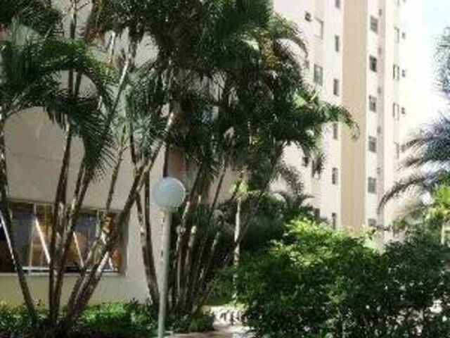 Apartamento para Alugar em São Paulo - 2